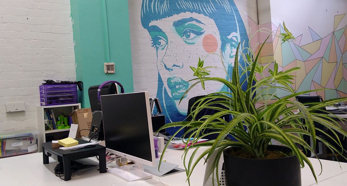 Workspace with plants, computers, office supplies, and murals on the walls.