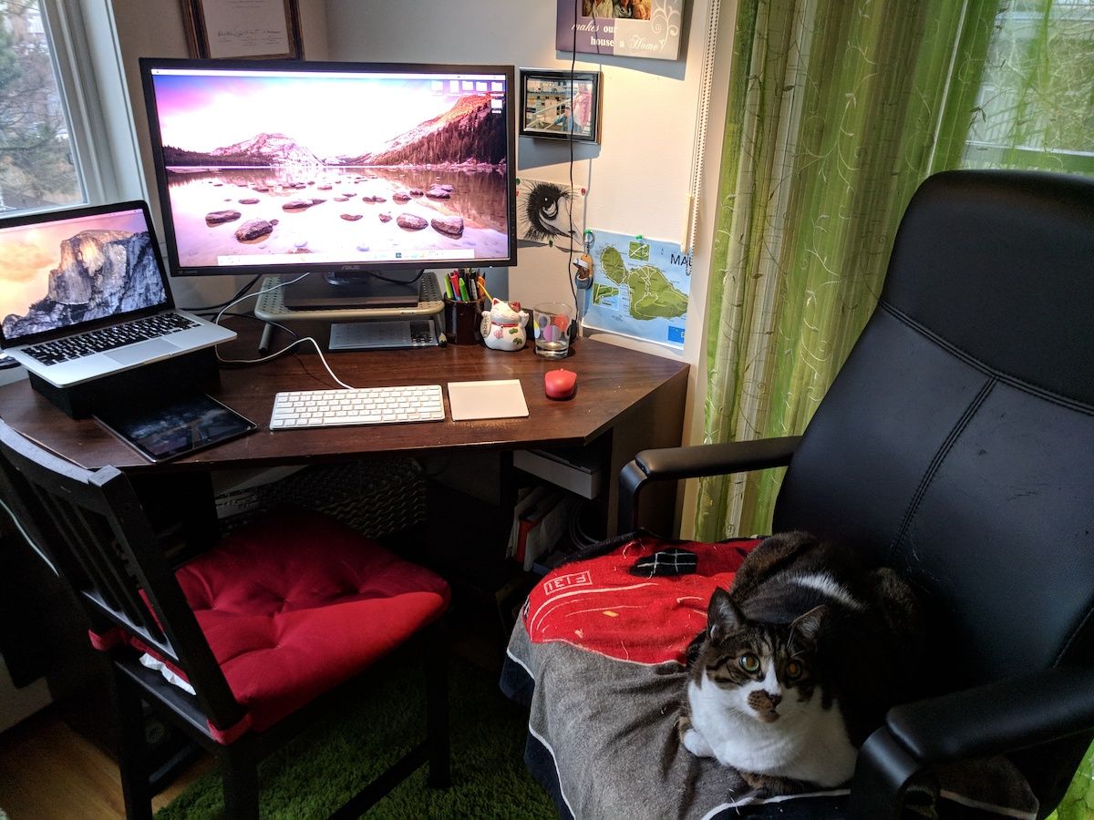 Cozy home office, with work chair occupied by cat.