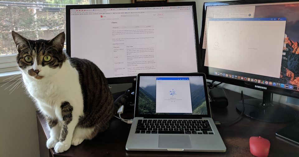 Work-from-home workspace featuring 1 laptop, 2 monitors, 1 red mouse, and 1 staring cat.